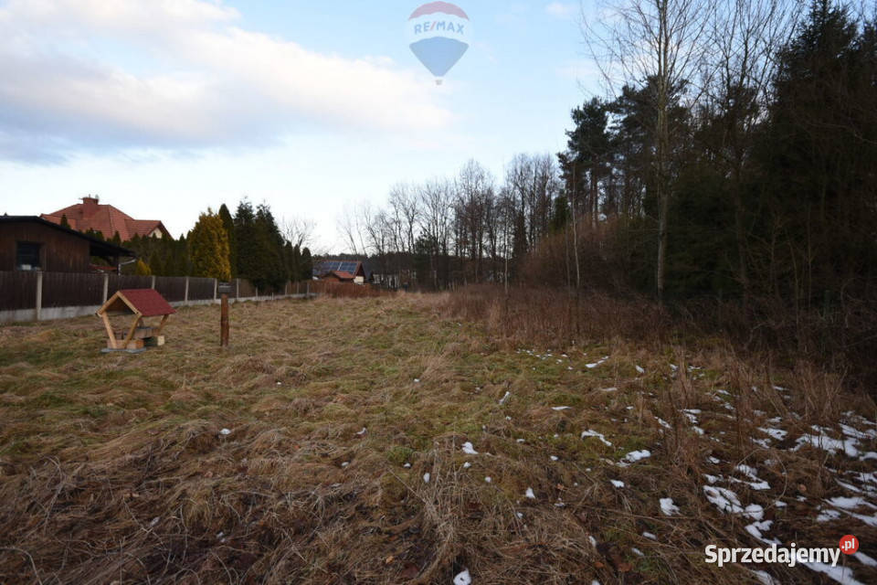 Działka budowlana lesie Kobiór 117 ar polna
