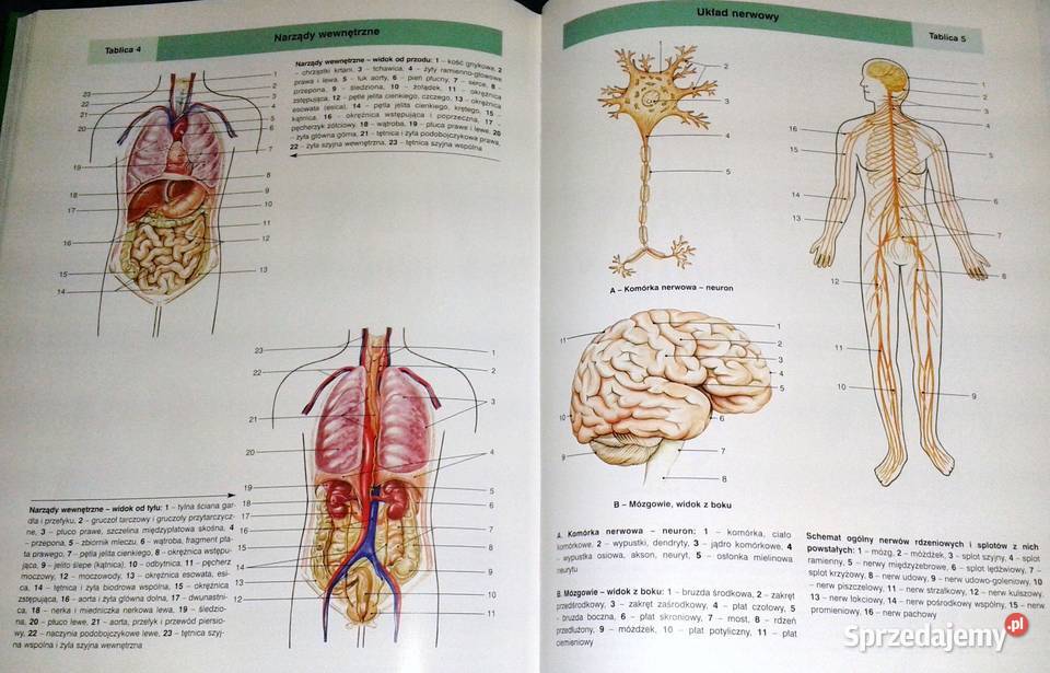Encyklopedia zdrowia rodziny Tom 1 Kazimierz twarda lubelskie