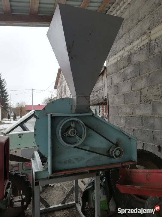 Bukownik lubelskie Kornelówka