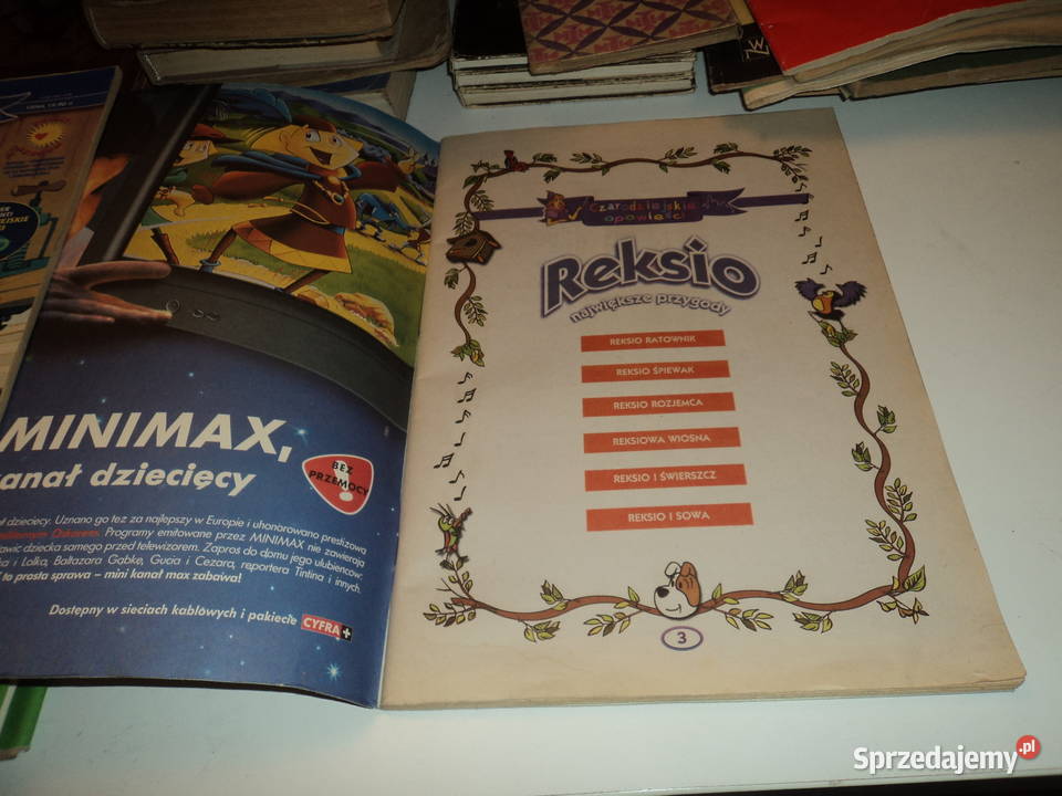 Reksio największe przygody czarodziejskie Nowy Sącz sprzedam