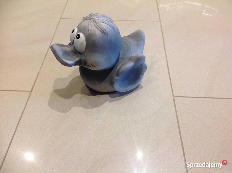 Kaczka Szara Nowa Sól