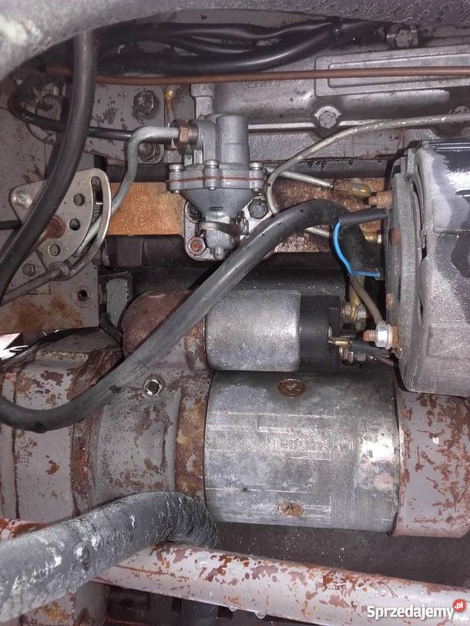 Massey Ferguson 255 Potok Wielki sprzedam