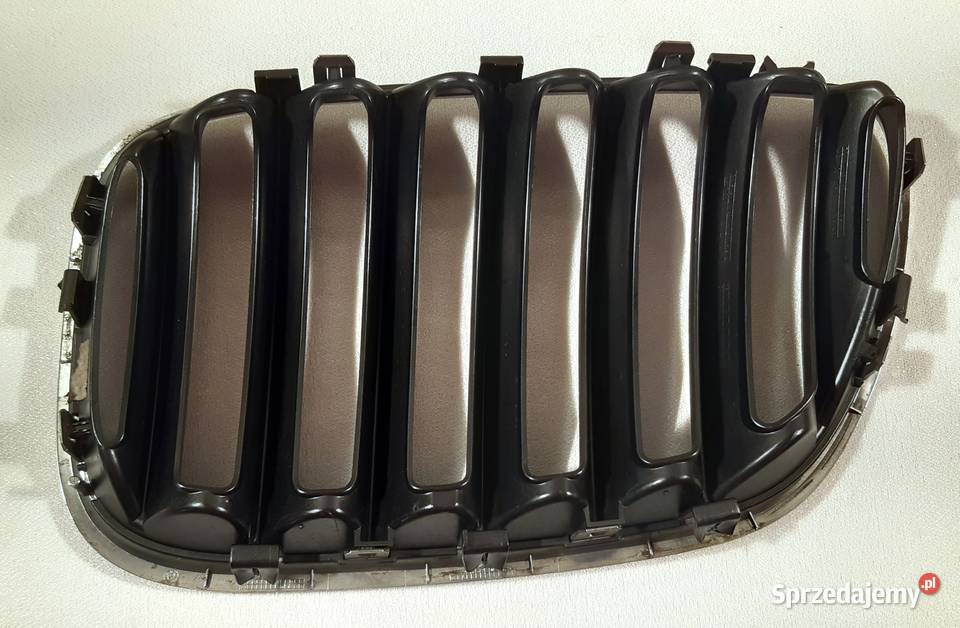 GRILL NERKA PRAWA BMW X5 E53 7124816 Mielęcin