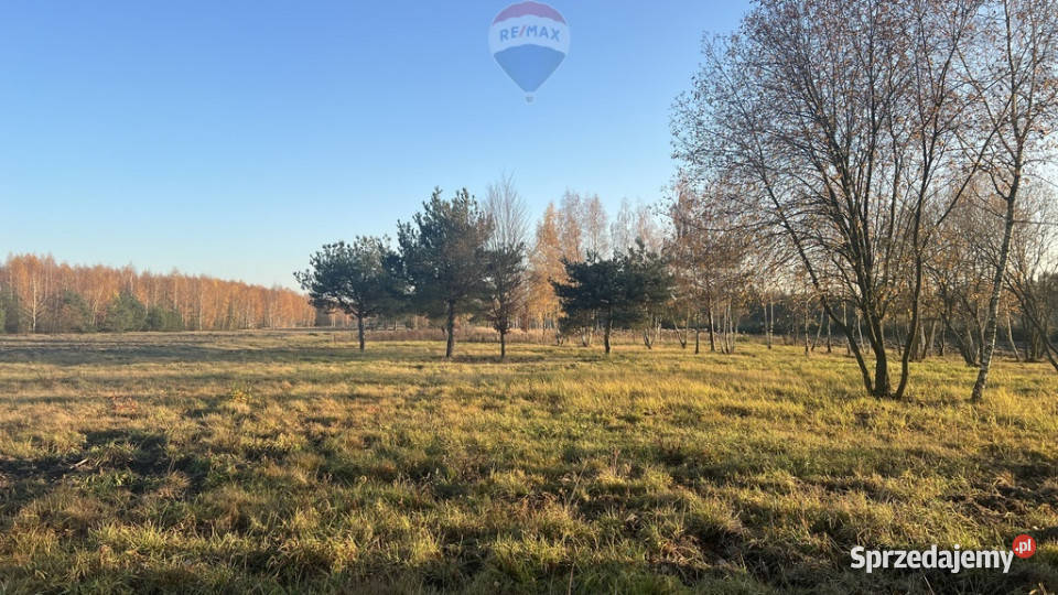 Działka budowlana 5920 Józefów gm Pniewy mazowieckie