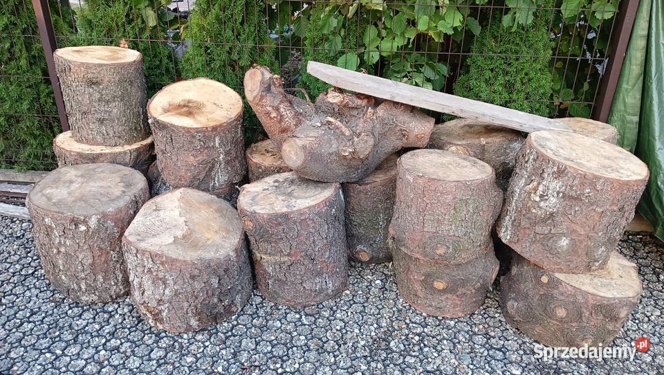 drewno świerkowe na opał ognisko pniaki Niepołomice