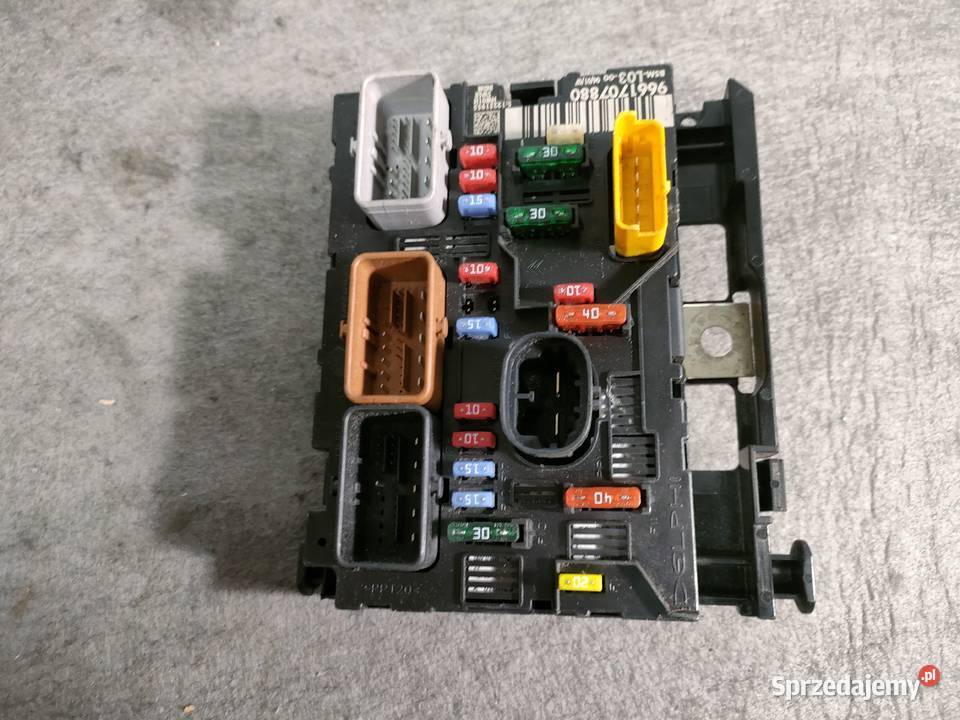 Peugeot Citroen BSM L03 wielkopolskie