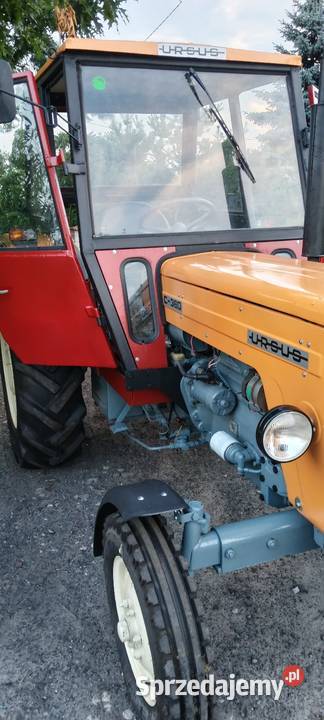 Ursus C360 produkcji 1980 Nasiegniewo