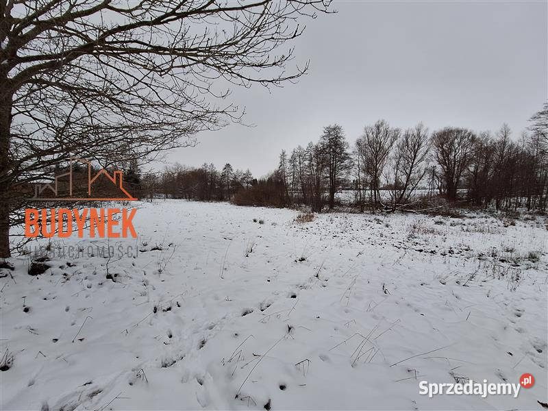 Działka rolna Przystawy sprzedam