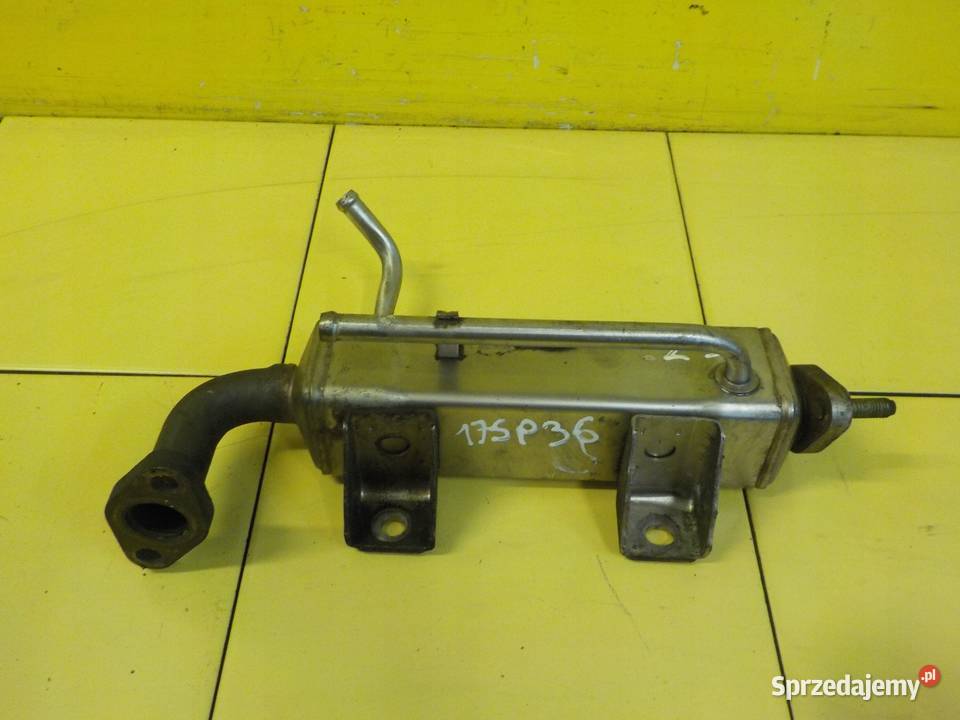 RANGER MAZDA BT50 25 TDCI 09r 143 WLAA chlodnica Suków