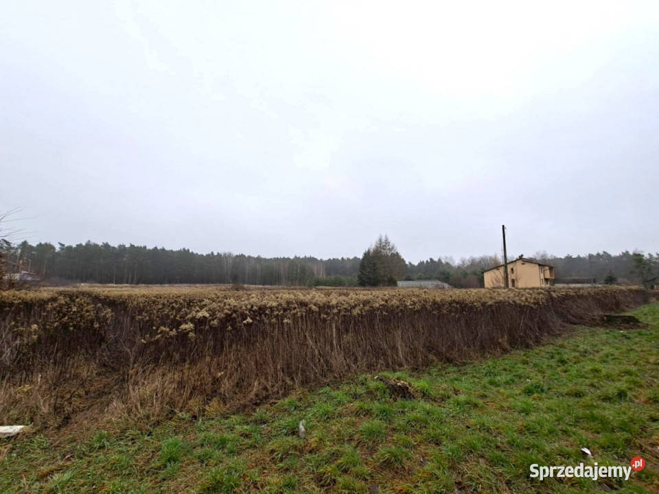 Grunt 1824m2 Głusko DużeKolonia gaz Głusko Duże-Kolonia
