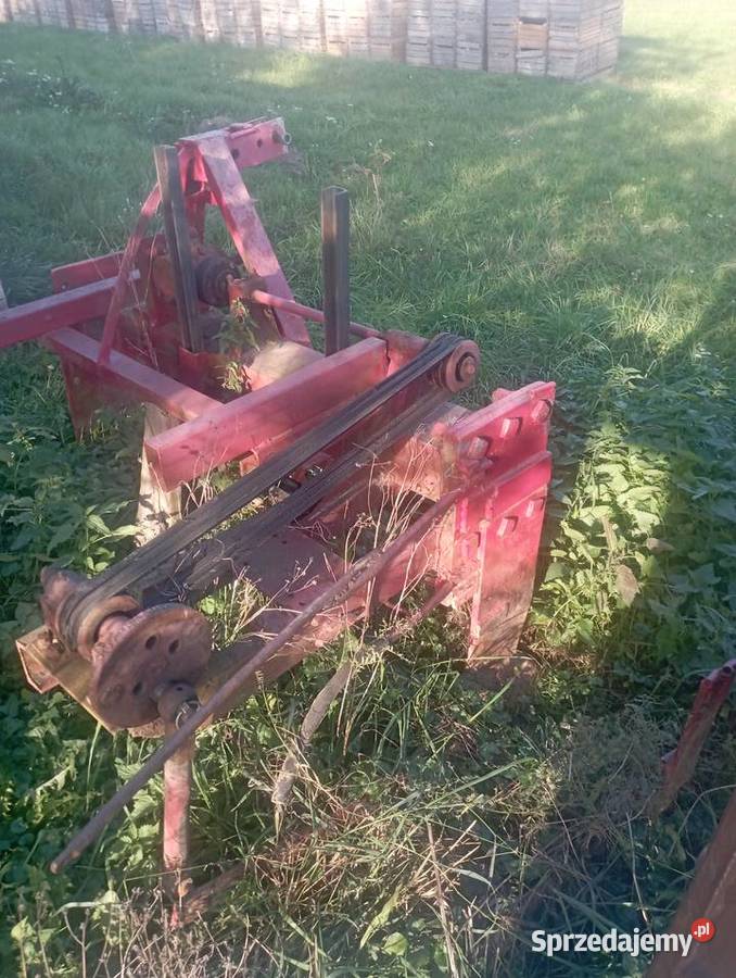 Wyorywacz szkólkarski Maciejowice