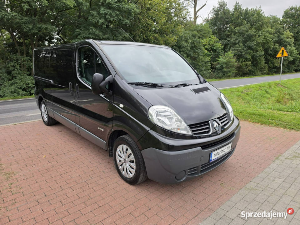Renault Trafic Renault Trafic II lift 20 dci 115 elektryczne lusterka Cielcza