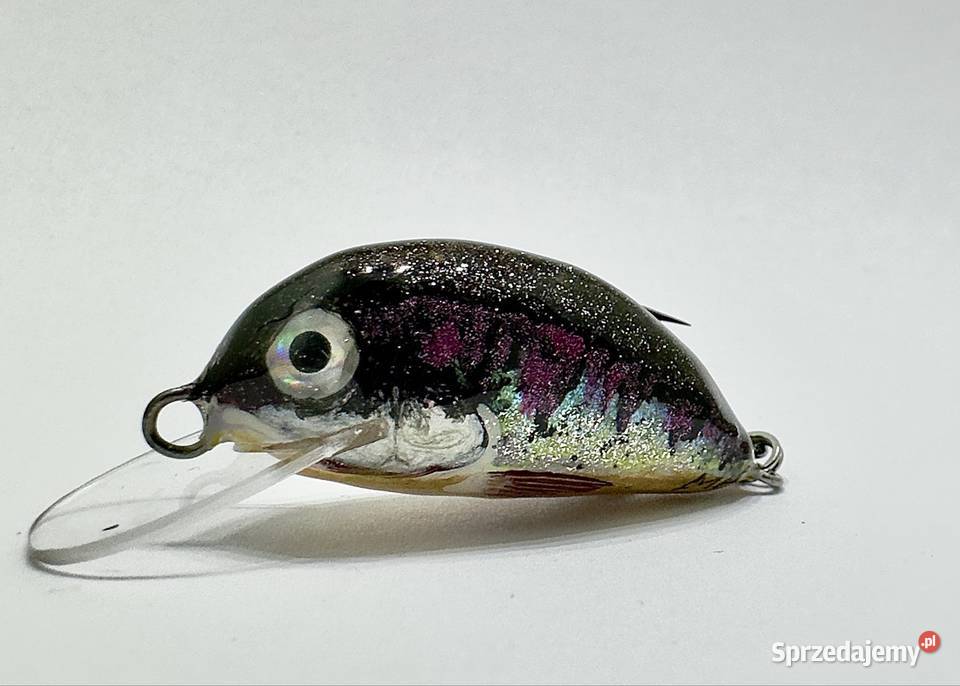 Woblery kleniowojaziowe MD Szczebrzeszyńskie dolnośląskie Wrocław