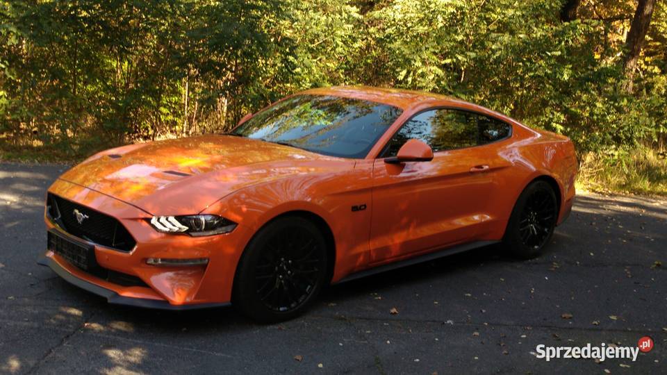 MUSTANG GT 50 V8 240 SALON POLSKA 2020 Zielona Góra