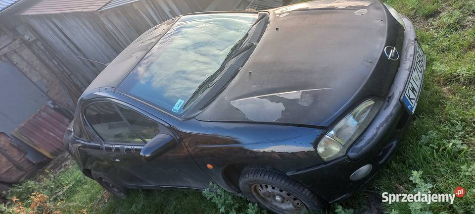 Opel tigra drzwi lewe Morawica
