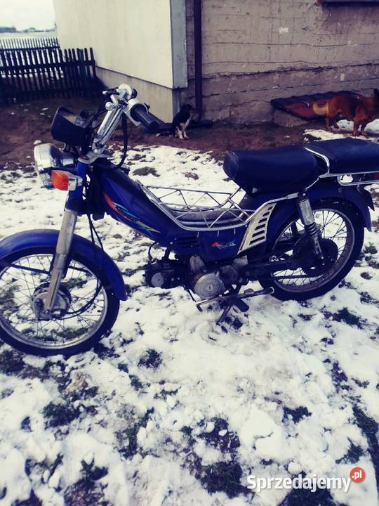 Father 50 rama do komara Wętfie