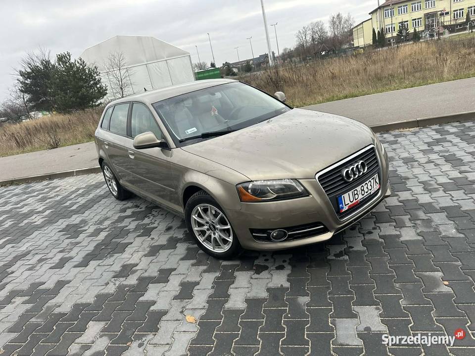 Audi a3 8P 19 TDI A3 Prażmów sprzedam