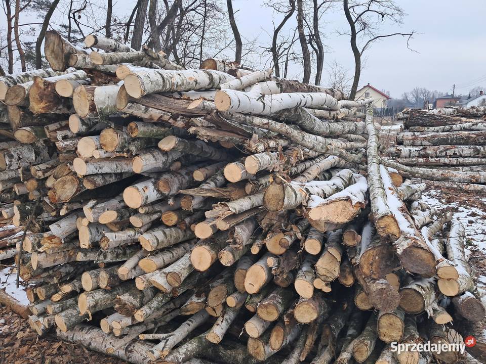 drewno opałowe gałęźiowe Puszcza Mariańska