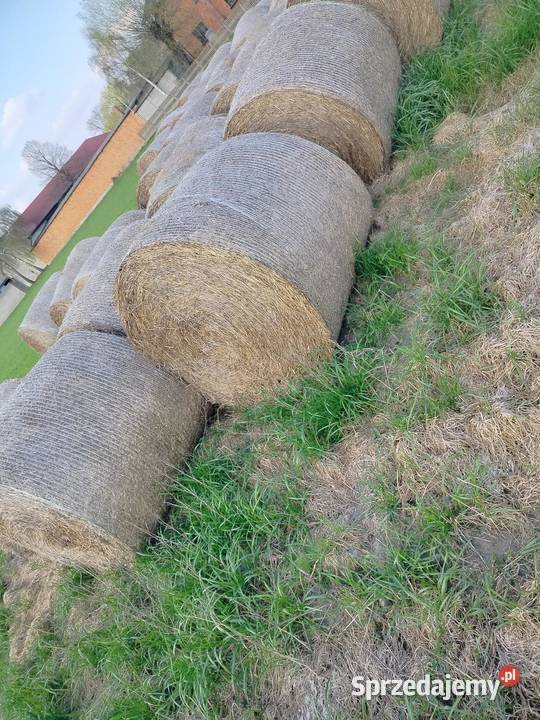 Sprzedam siano i słomę z regrasionki łódzkie Zadąbrowie-Rudunek