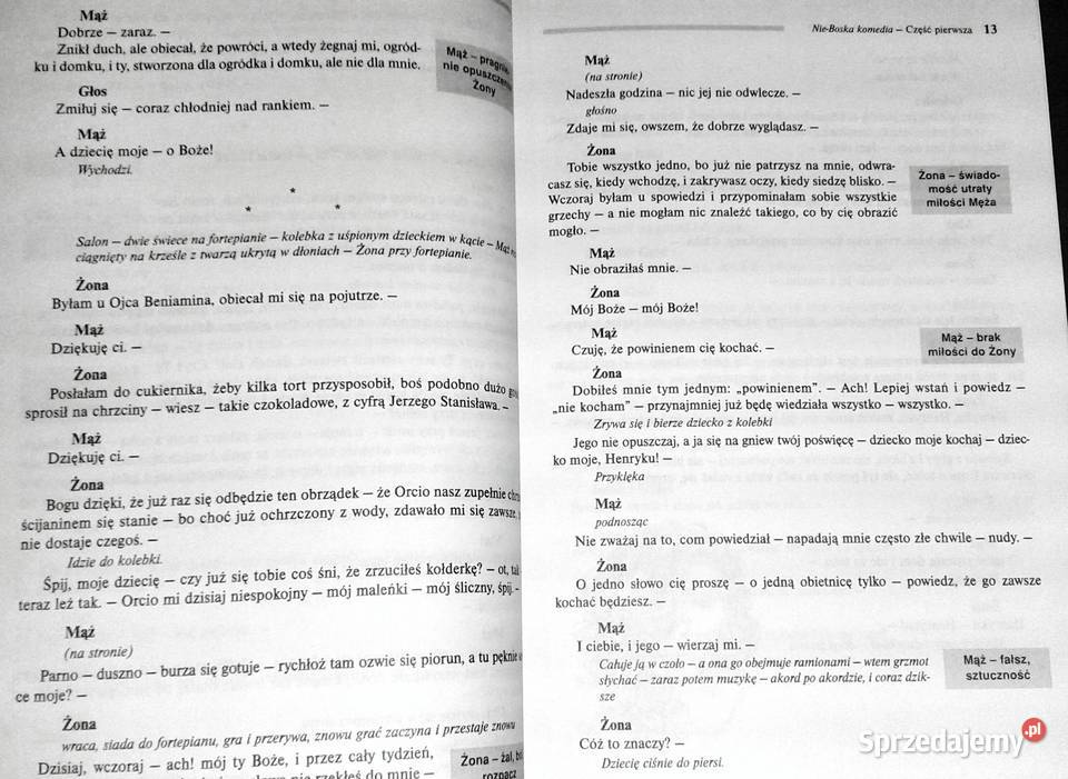 NieBoska komedia Lektura z opracowaniem Zygmunt Chełm