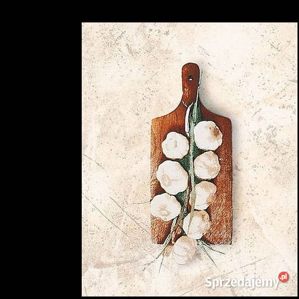 Country 1 Domino 20 x 25 aktualne Tubądzin Białogard sprzedam