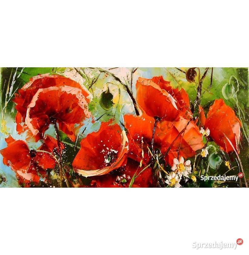 Maki Obraz plejny 40x20 szpachla Warszawa