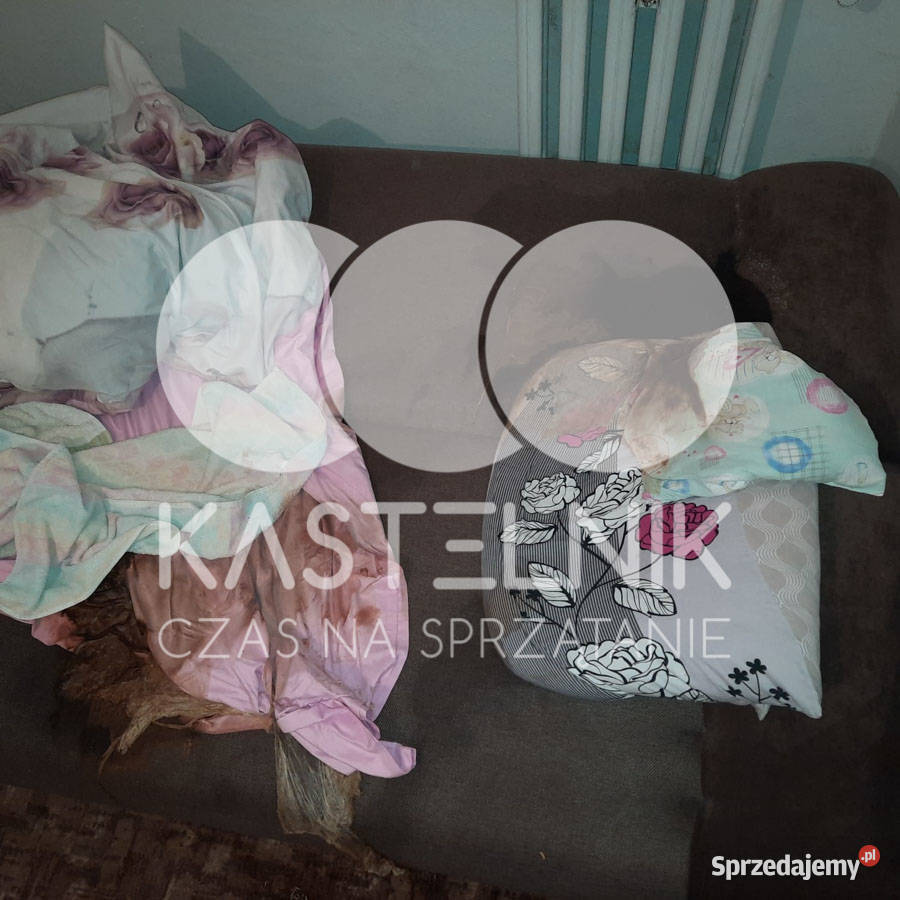 Sprzątanie zgonach Radlin Kastelnik Dezynfekcja