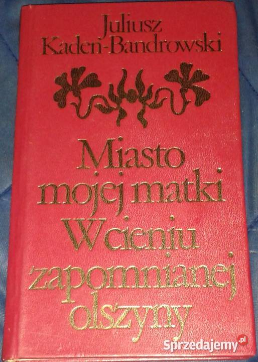 Miasto mojej matki W cieniu zapomnianej olszyny Chełm sprzedam