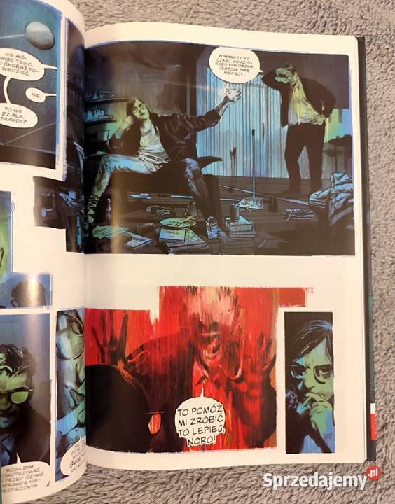 Miły Dom Jeziorem Tom 1 i 2 Tynion IV Bueno Rok wydania 2023 Rybnik sprzedam