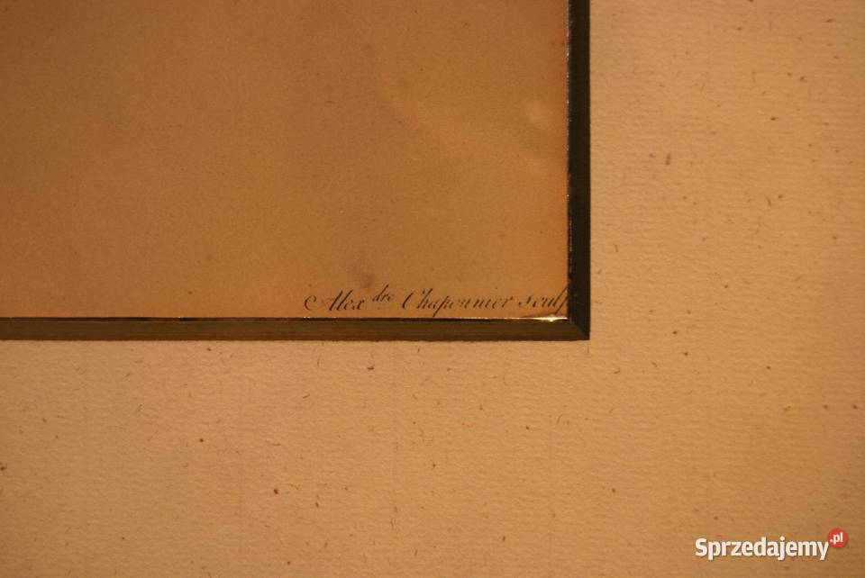 BESSA Pancrace akwatintowa duża rycina z owocami Poznań