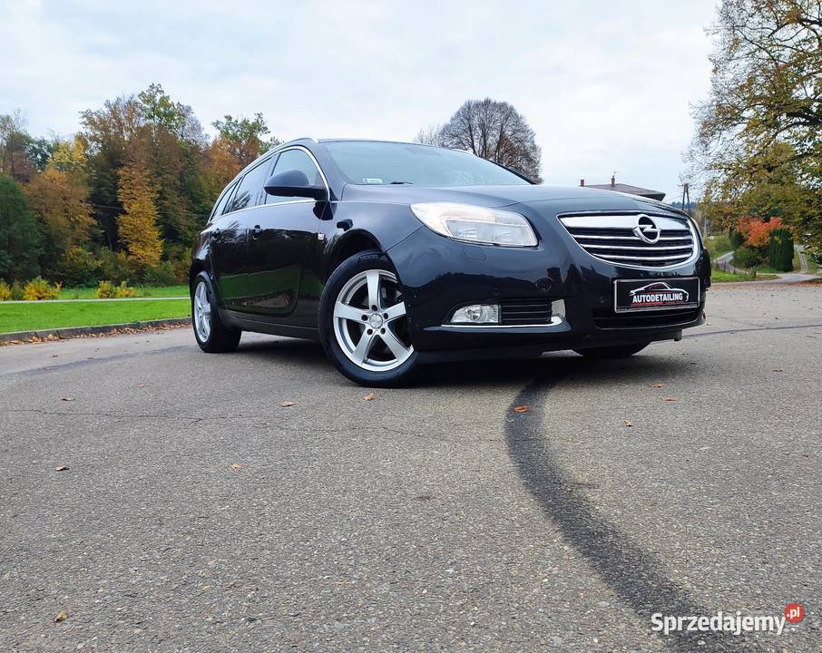 Fajny Opel Insignia kombi 20 CDTI 160 2011 Domaradz