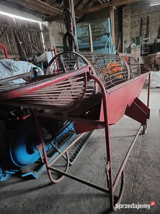 Sortownik Kopaczka do ziemniaków Dzierżążno