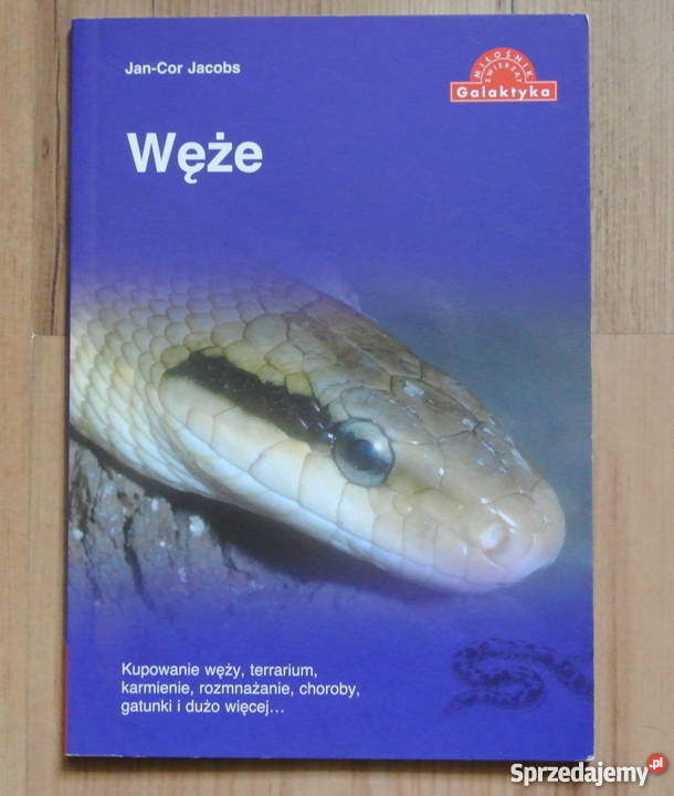 Węże JanCor Jacobs zwierzęta domowe i hodowlane wielkopolskie Piła