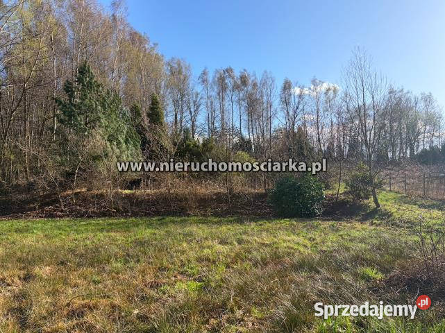 Działka 3750 metrów Wodzisław Śląski sprzedam