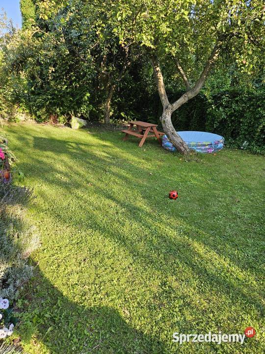 Działka ROD łódzkie Radomsko