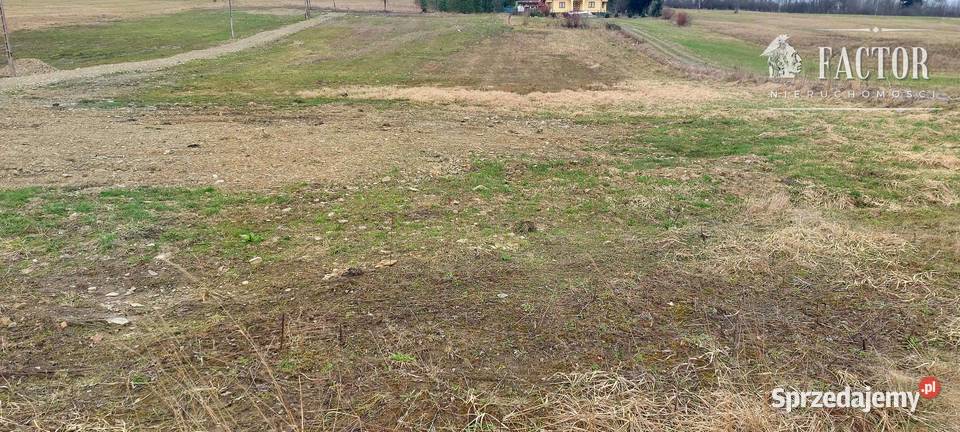 Kwiatoń działki budowlane 1123S2024