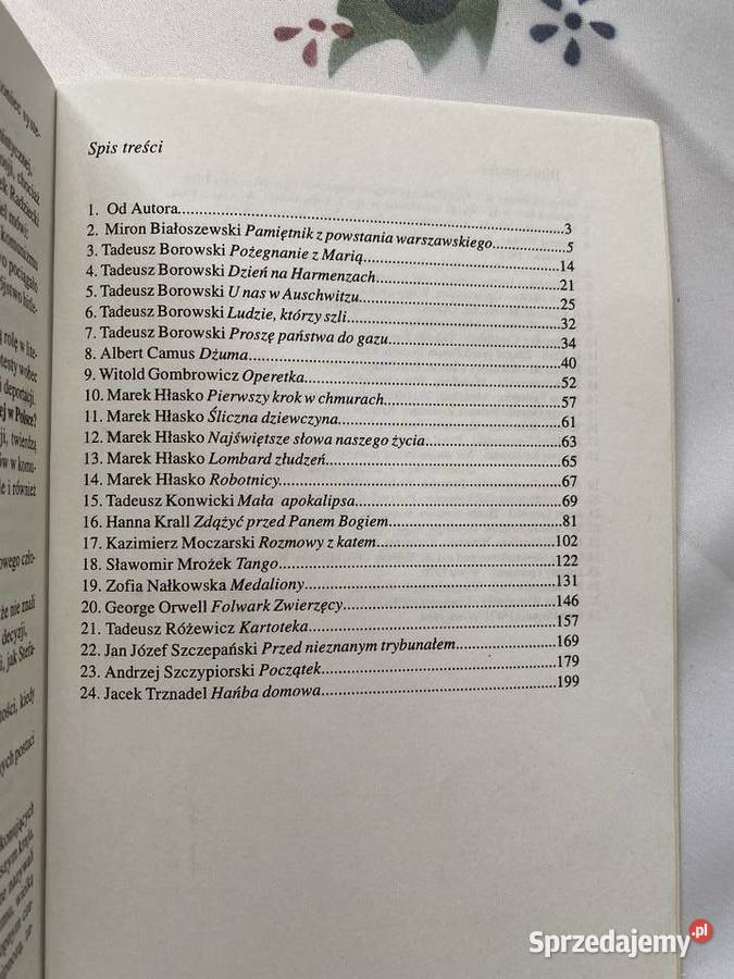 Literatura Wspolczesna streszczenia miękka Lublin