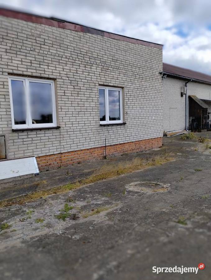 Sprzedam nieruchomość położoną na wsi okazja parter Kutno