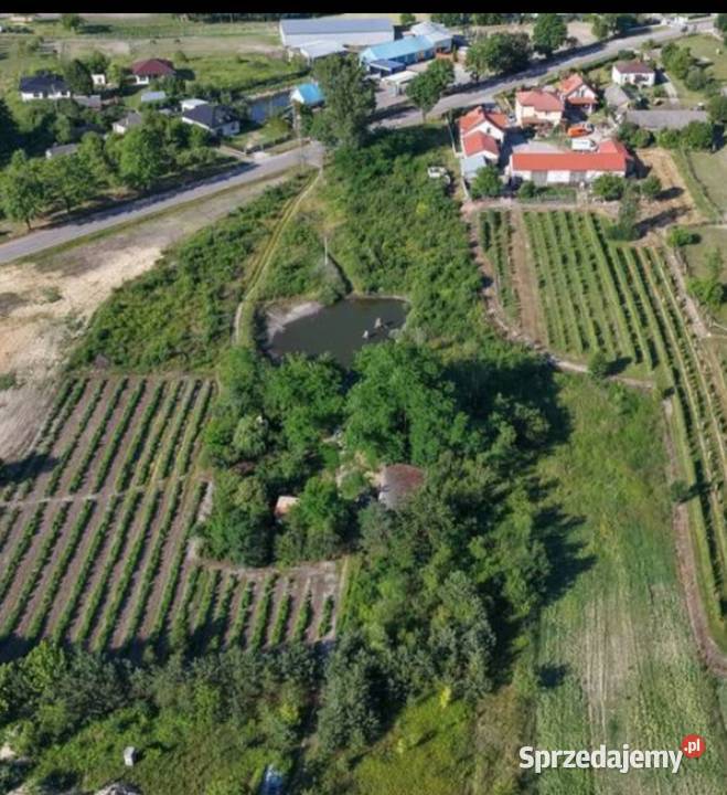 Działka pod zabudowę Przytyki 16 sprzedam