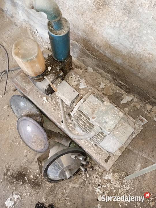 Dojarka Złotniki Kujawskie