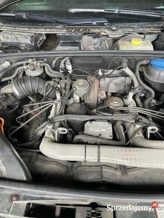 Audi a4 b6 części pomorskie Czarna Woda