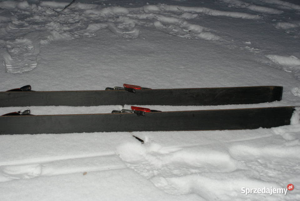 NARTY Volki Carver Plus Made in Germany 187 Ostrów Wielkopolski