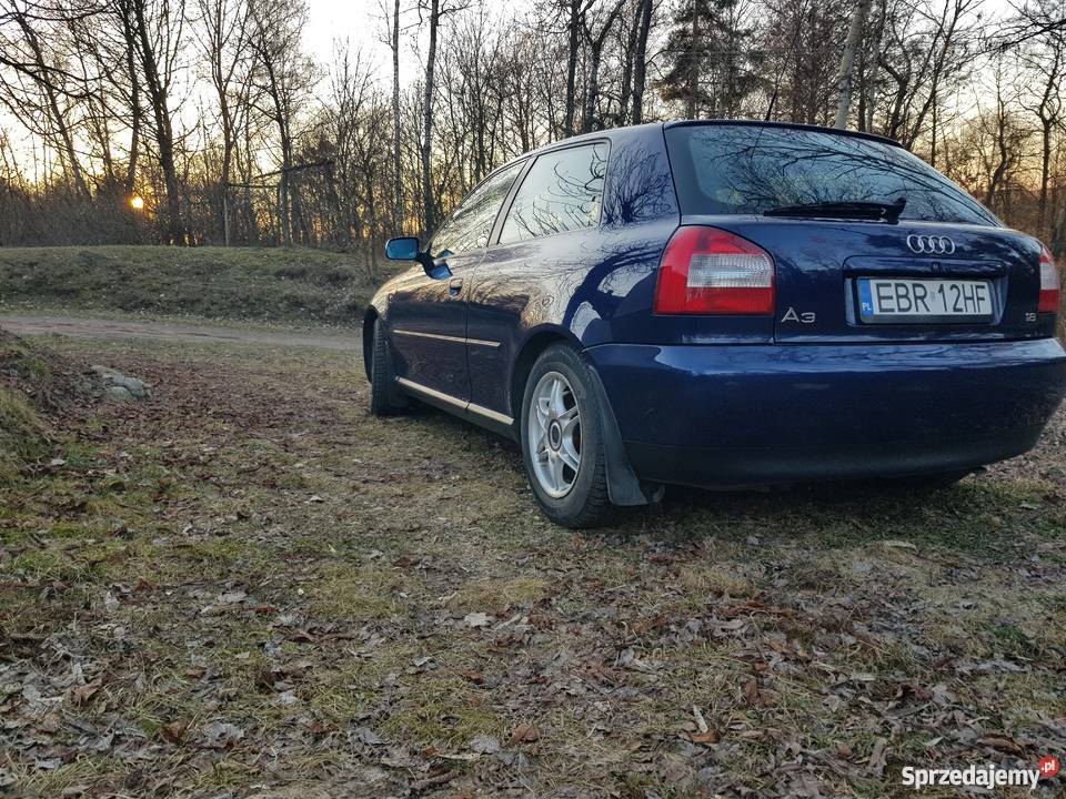 Audi A3 Audi A3 8L 18 AGN 99r 125 garażowany Przybyszyce