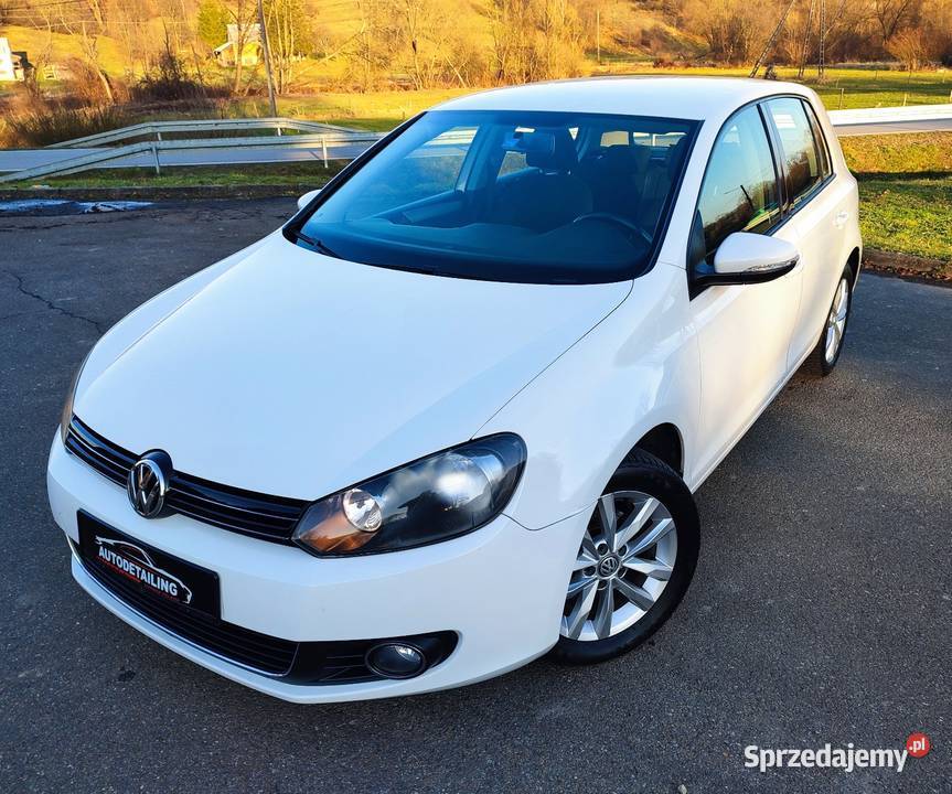 Ładny Volkswagen Golf VI 16 tdi 105 2010 prosto immobilizer podkarpackie Domaradz