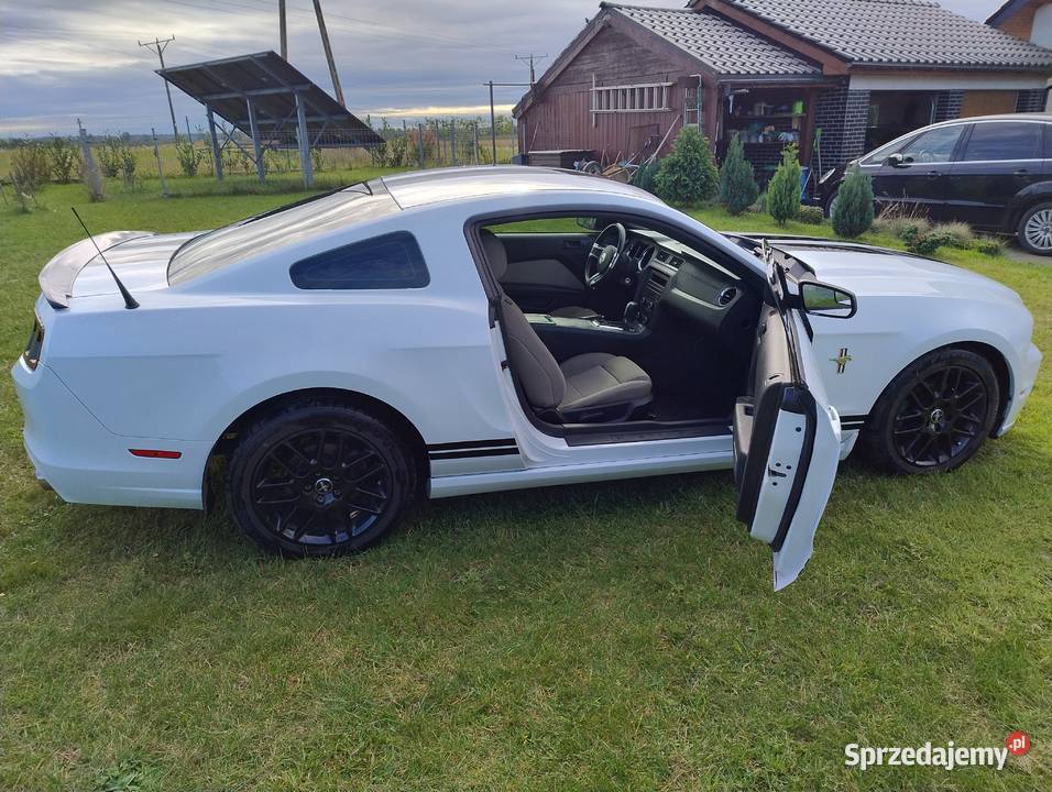 Ford Mustang 2014r 37l Gryfice
