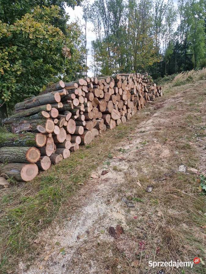 Sprzedam Drewno OpałoweKominkowe 570 x 894 x 900 Nowa Ruda sprzedam