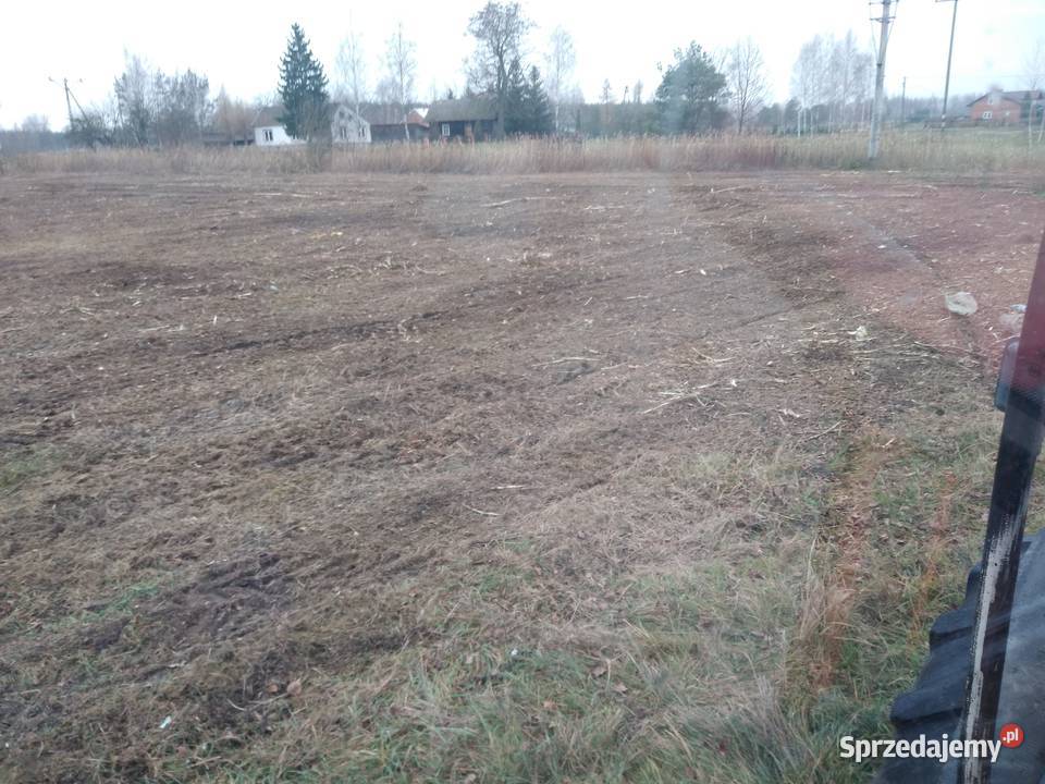 Mulczerowanie frezowanie drzew zakrzaczeń podkarpackie Gorzyce