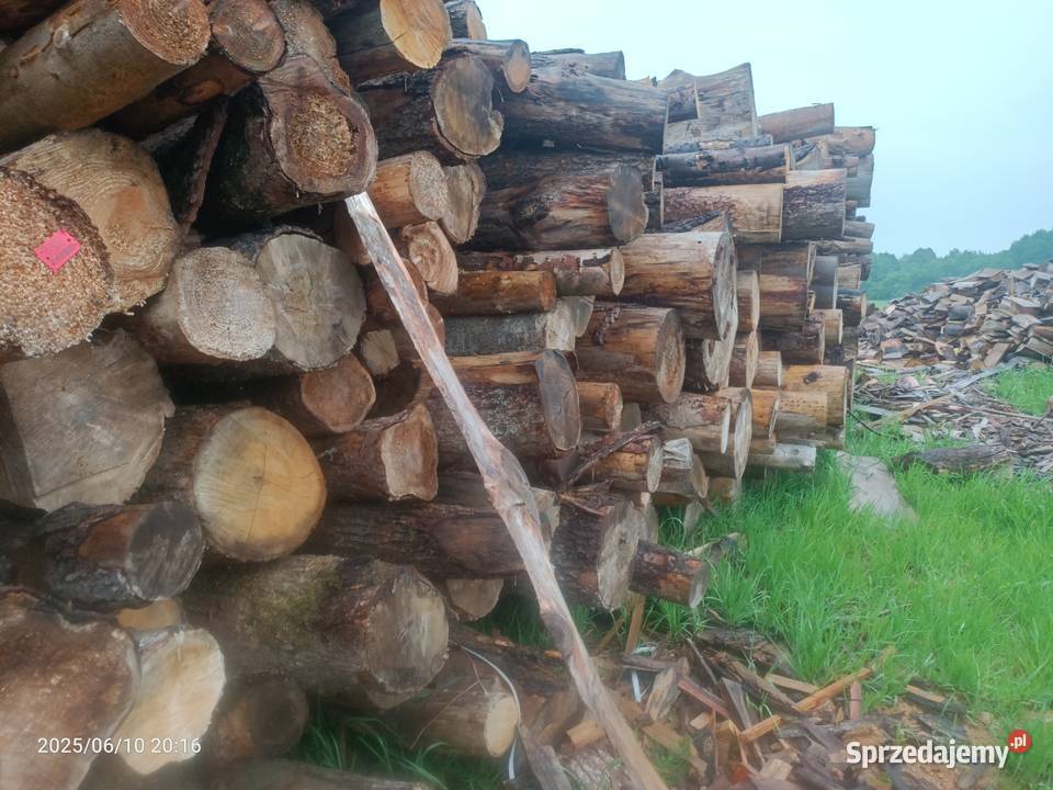 Buk i dąb drewno opałowe sezonowane 3 lata