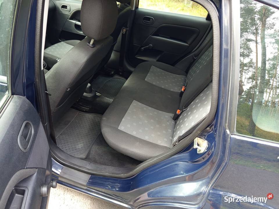 Ford Fiesta Rok produkcji 2004 Ford