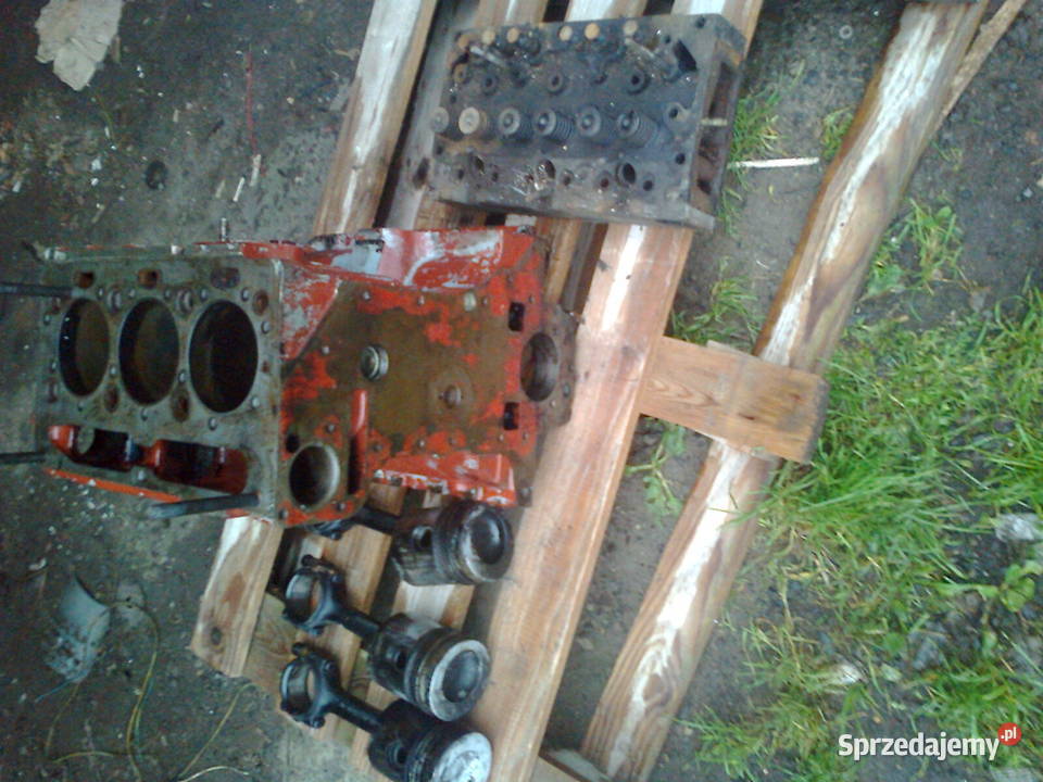 wyprzedaż garażowa kujawsko-pomorskie Strzelno